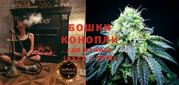 ГАЛЛЮЦИНОГЕННЫЕ ГРИБЫ Касимов