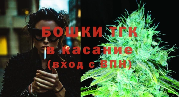 ГАЛЛЮЦИНОГЕННЫЕ ГРИБЫ Касимов