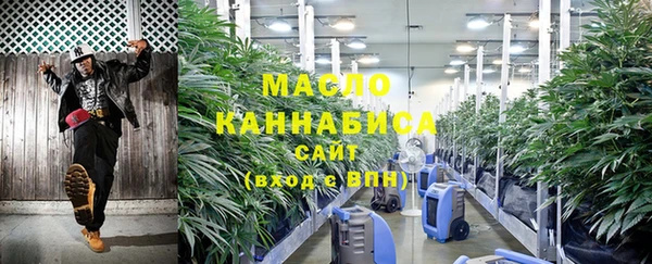ГАЛЛЮЦИНОГЕННЫЕ ГРИБЫ Касимов