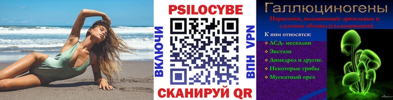 Галлюциногенные грибы Psilocybe  MEGA вход  Новоузенск 